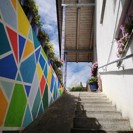 Seenah - Ihre Wohnung Am Bodensee / Untersee Gaienhofen  Exterior foto